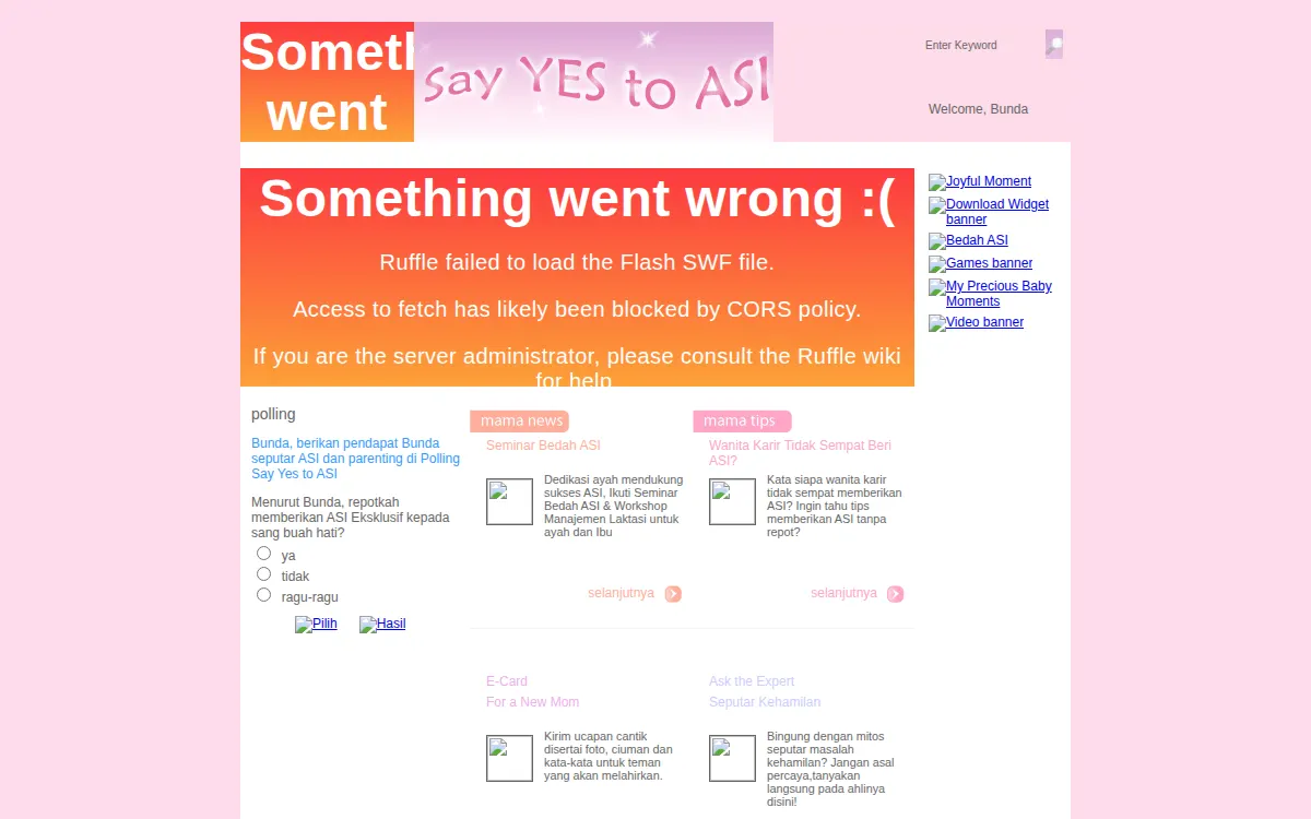 SayYesToASI.com, 2008